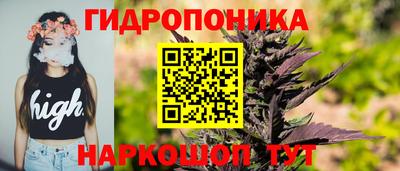 сатива Краснодар