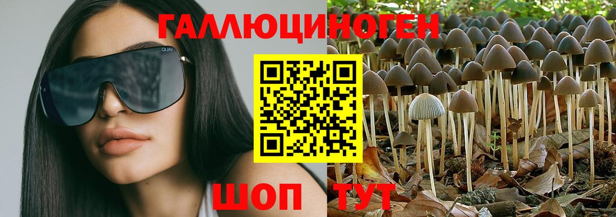 Калининград  купить наркоту  Вход с VPN  Псилоцибиновые грибы мицелий 